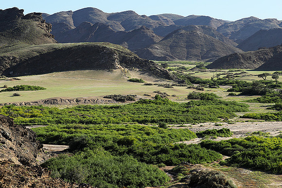 skeleton coast