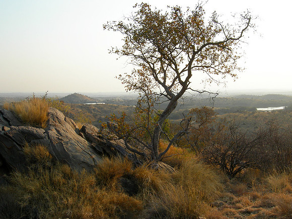 Near Windhoek