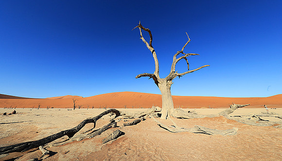 Deadvlei - Namib desert