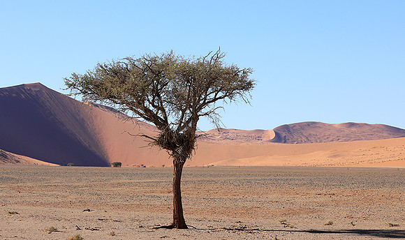 Sossusvlei - Namib desert