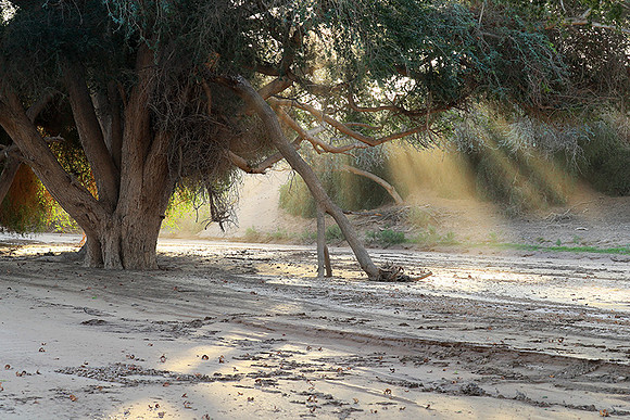 Hoanib river bed - Skeleton coast
