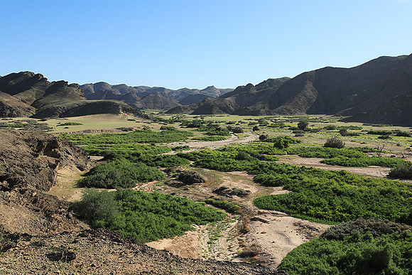 skeleton coast