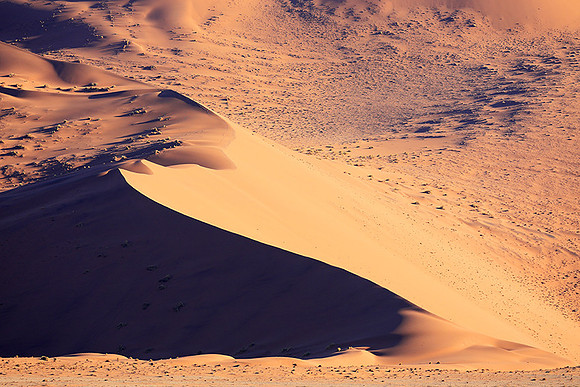 Sossusvlei - Namib desert