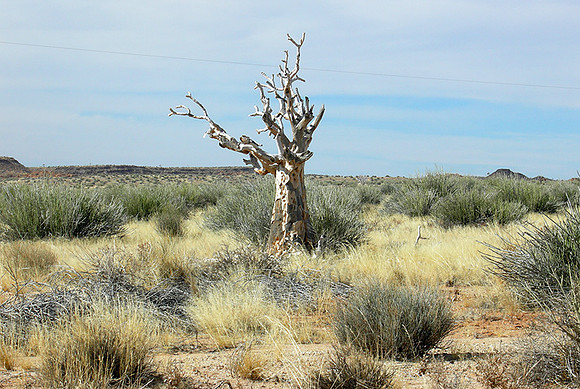 Near Fish River Canyon