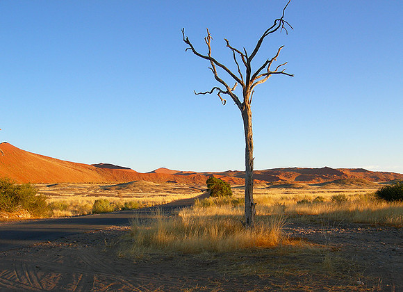 Sossusvlei - Namib desert
