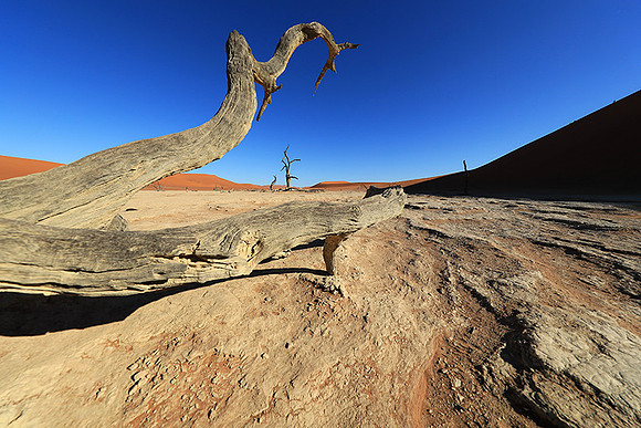 Deadvlei - Namib desert