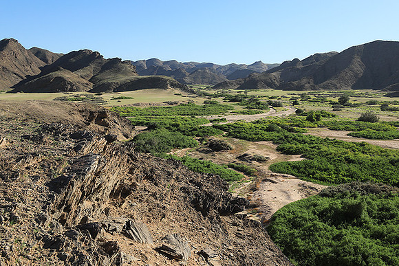 skeleton coast