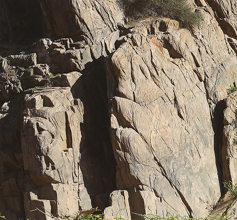 Faces in rocks - Skeleton Coast