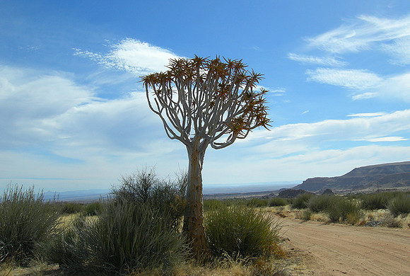 Near Fish River Canyon