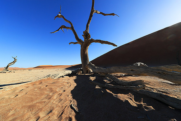 Deadvlei - Namib desert