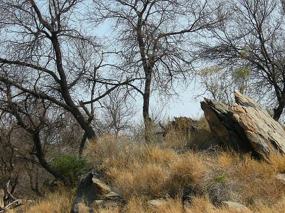 Near Windhoek
