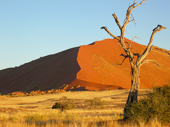 Sossusvlei - Namib desert