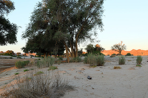 Hoanib river bed - Skeleton coast