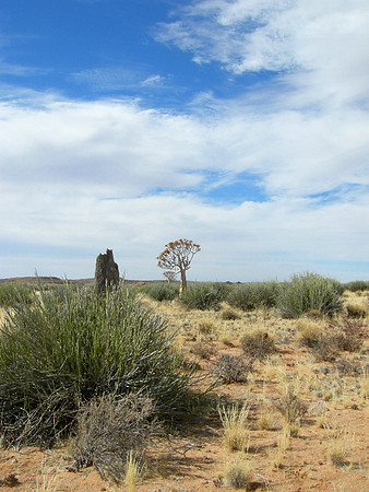 Near Fish River Canyon