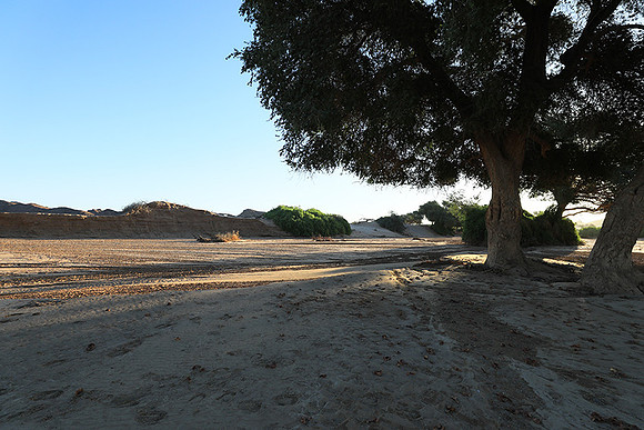 Hoanib river bed - Skeleton coast