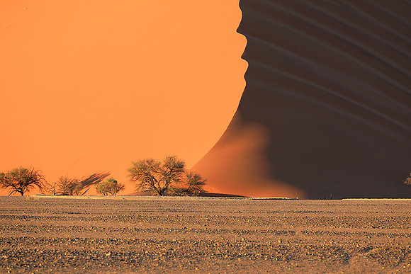 Sossusvlei - Namib desert