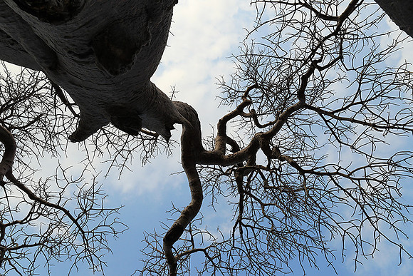Kurger NP  - South Africa