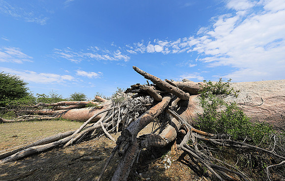 Makgadikgadi - Botswana