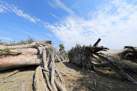 Makgadikgadi - Botswana
