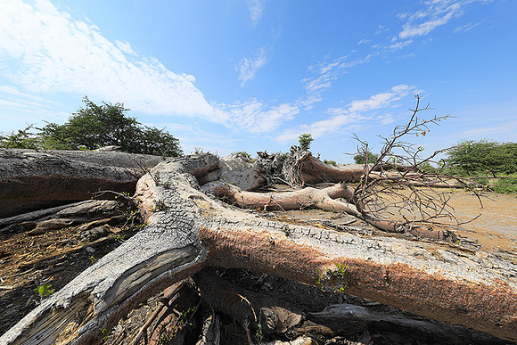 Makgadikgadi - Botswana