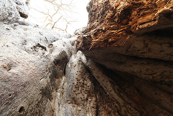 Kurger NP  - South Africa