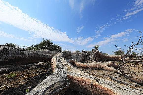 Makgadikgadi - Botswana