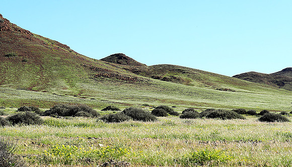 skeleton coast