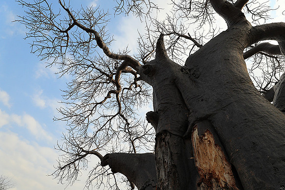 Kurger NP  - South Africa