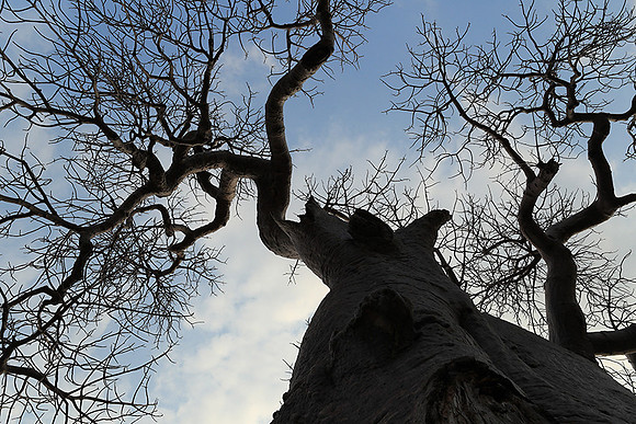 Kurger NP  - South Africa
