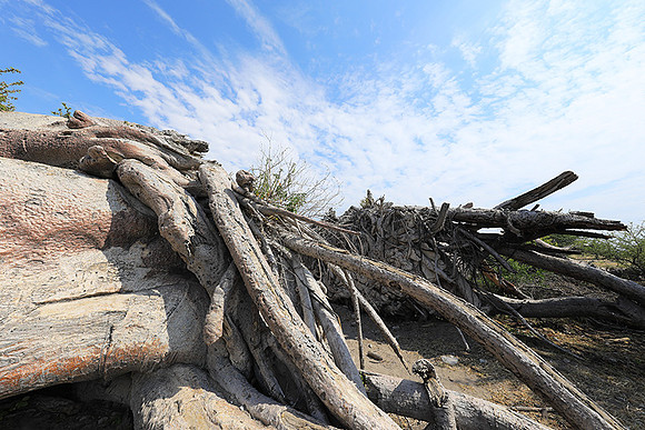 Makgadikgadi - Botswana