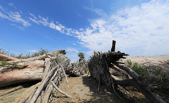 Makgadikgadi - Botswana