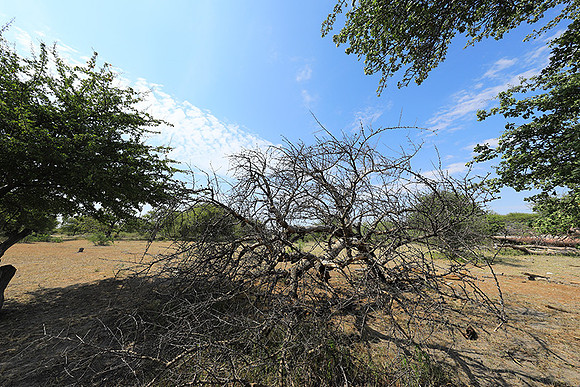 Makgadikgadi - Botswana