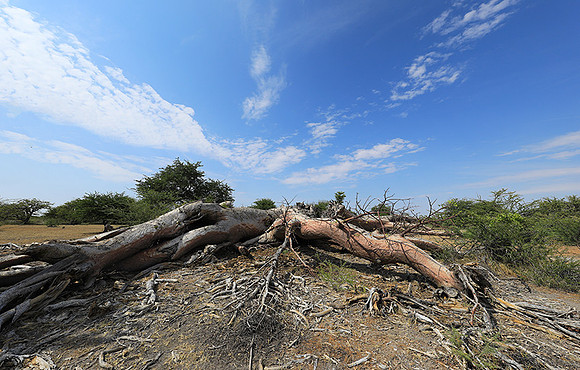 Makgadikgadi - Botswana