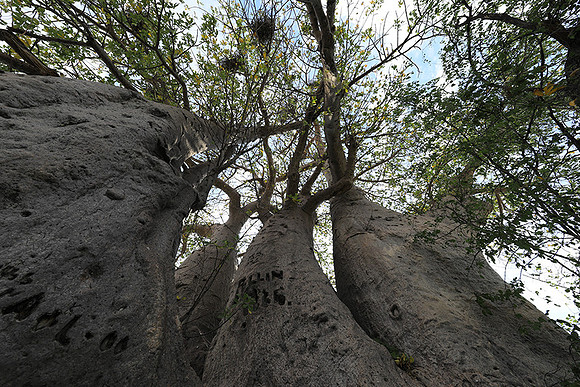Makgadikgadi - Botswana