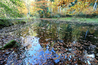 Etang Framboise - France