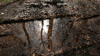 Water & reflections