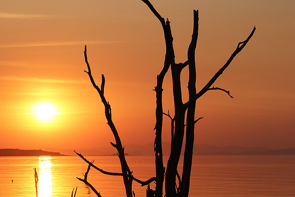Lake Kariba - sunset