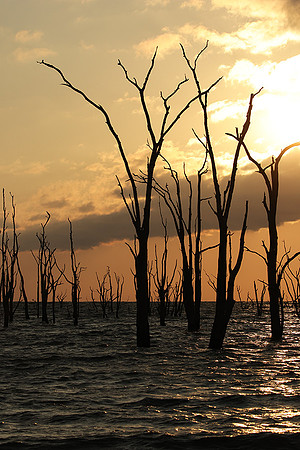 Sunrise - lake Kariba