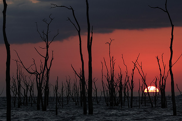 Sunrise - lake Kariba