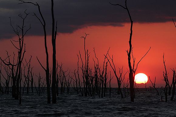 Sunrise - lake Kariba