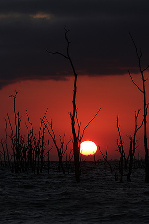 Sunrise - lake Kariba
