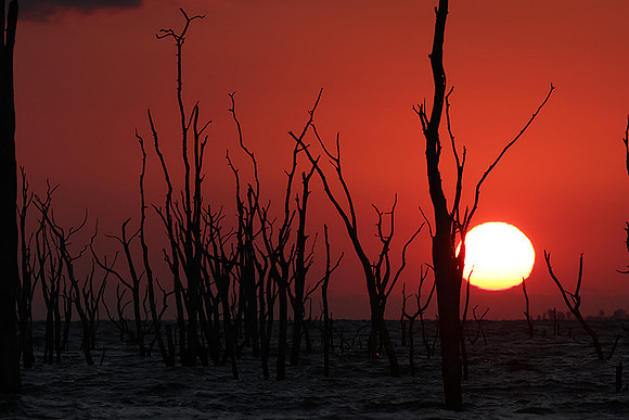 Sunrise - lake Kariba