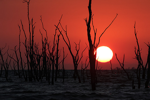 Sunrise - lake Kariba
