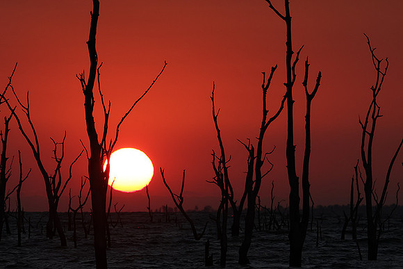 Sunrise - lake Kariba