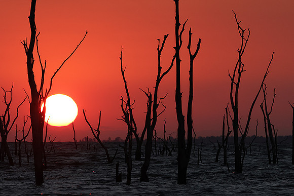 Sunrise - lake Kariba