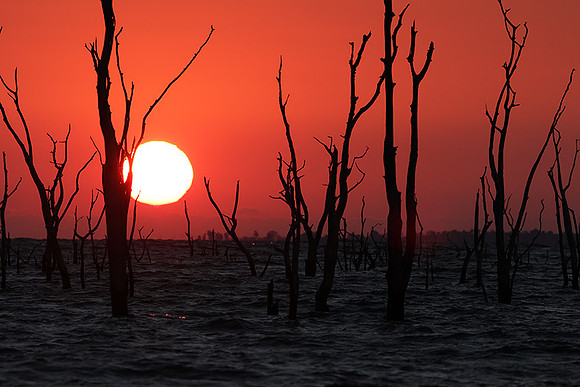 Sunrise - lake Kariba