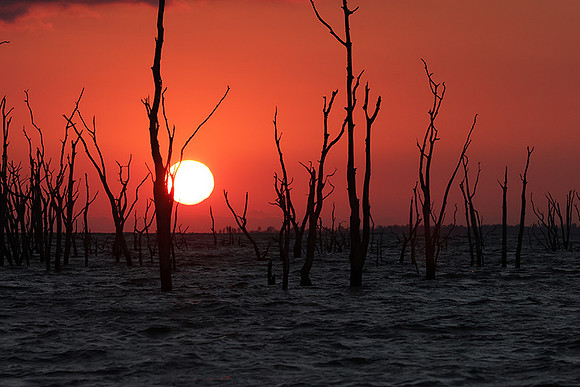 Sunrise - lake Kariba