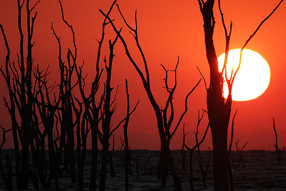 Sunrise - lake Kariba