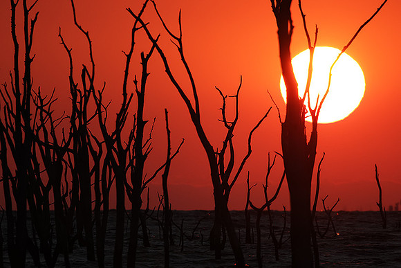 Sunrise - lake Kariba