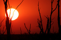 Zimbabwe